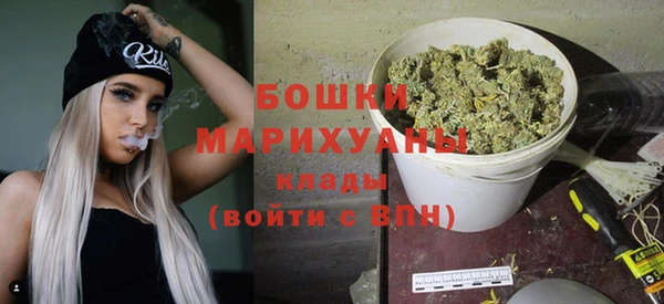 мдпв Бронницы