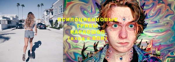 мдпв Бронницы