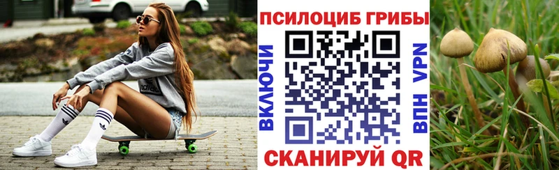 Псилоцибиновые грибы ЛСД Мглин